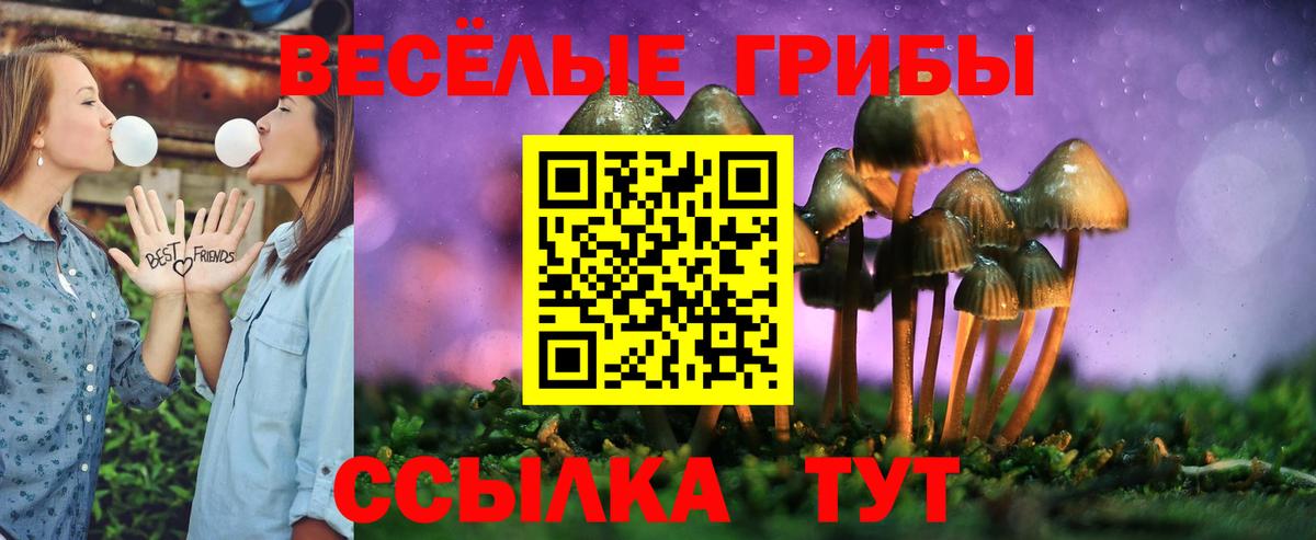 Псилоцибиновые грибы Psilocybe  Псилоцибиновые грибы ЛСД  Махачкала  Вход с VPN 
