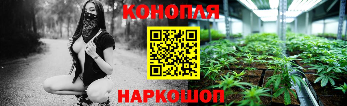 МАРИХУАНА тримм  Конопля AK-47  Махачкала  Канабис план  Вход с VPN 